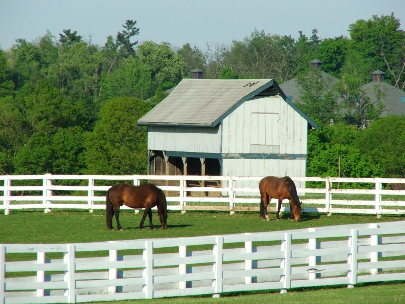 Equine Fence Installation in Sacramento, CA