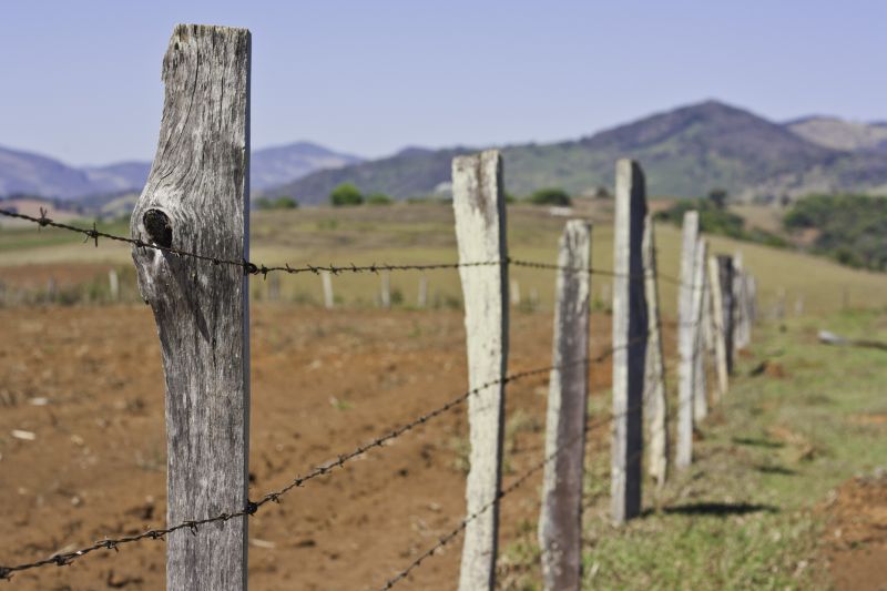 Split Rail Fence with Posts