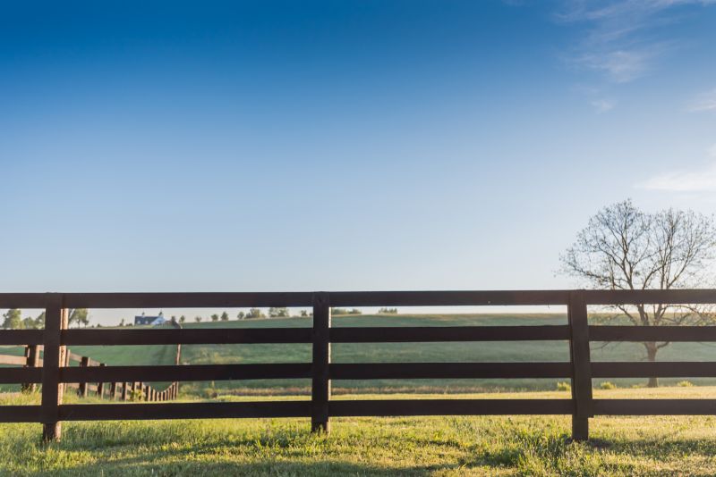Split Rail Fence with Gate