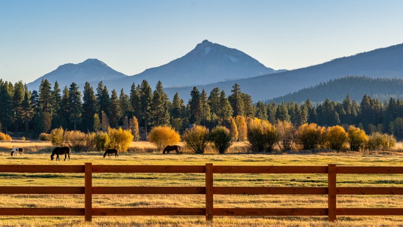 Ranch Fence Replacement in Sacramento, CA